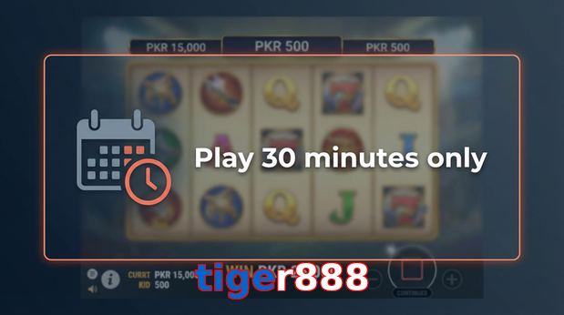 Payment and PKR controls in Tiger888